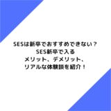 SESは新卒でおすすめできない？SES新卒で入るメリット、デメリット、リアルな体験談を紹介！